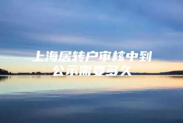 上海居转户审核中到公示需要多久