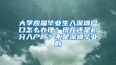 大学应届毕业生入深圳户口怎么办理？现在还是积分入户吗？不是深圳毕业的