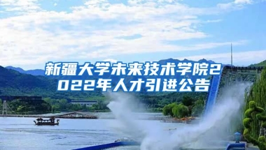 新疆大学未来技术学院2022年人才引进公告