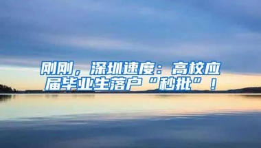 刚刚，深圳速度：高校应届毕业生落户“秒批”！