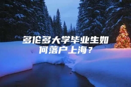 多伦多大学毕业生如何落户上海？