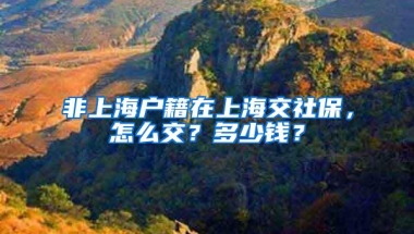 非上海户籍在上海交社保，怎么交？多少钱？