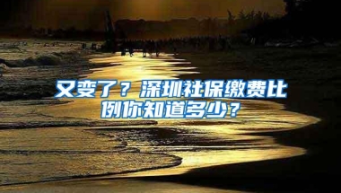 又变了？深圳社保缴费比例你知道多少？