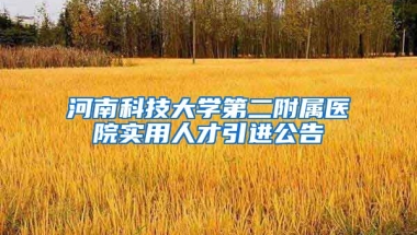 河南科技大学第二附属医院实用人才引进公告