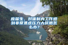 应届生，对体制内工作感到非常焦虑压力大厌倦怎么办？