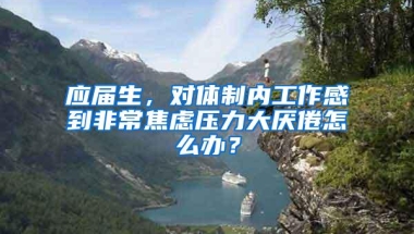 应届生，对体制内工作感到非常焦虑压力大厌倦怎么办？