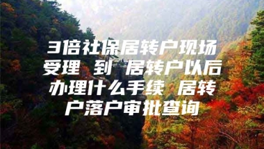 3倍社保居转户现场受理 到 居转户以后办理什么手续 居转户落户审批查询