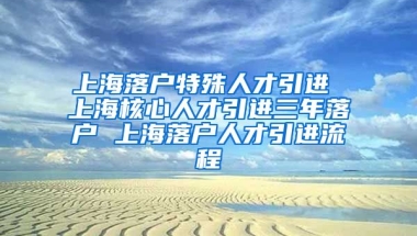 上海落户特殊人才引进 上海核心人才引进三年落户 上海落户人才引进流程