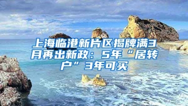 上海临港新片区揭牌满3月再出新政：5年“居转户”3年可买