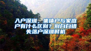 入户深圳，集体户与家庭户有什么区别？别白白错失落户深圳时机