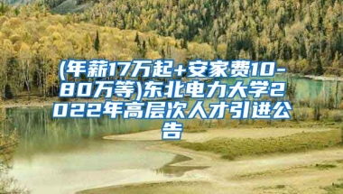 (年薪17万起+安家费10-80万等)东北电力大学2022年高层次人才引进公告