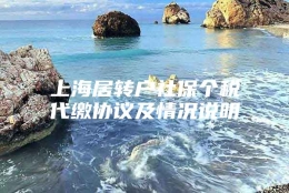 上海居转户社保个税代缴协议及情况说明