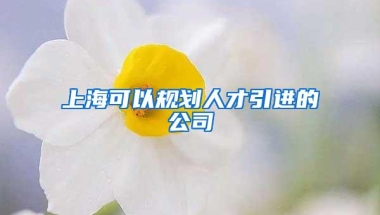 上海可以规划人才引进的公司