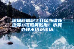 深圳新增职工社保断缴补缴等8项服务秒批，市民办理不用跑现场