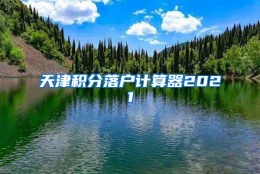 天津积分落户计算器2021