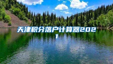 天津积分落户计算器2021