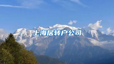 上海居转户公司