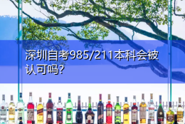 深圳自考985／211本科会被认可吗？