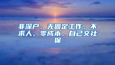 非深户，无固定工作，不求人，零成本，自己交社保