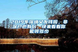 2019年深圳又发钱啦，非深户也有份，快来看看你能领多少