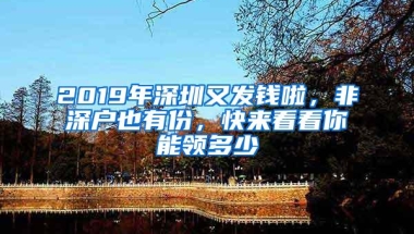 2019年深圳又发钱啦，非深户也有份，快来看看你能领多少