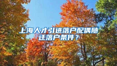 上海人才引进落户配偶随迁落户条件？