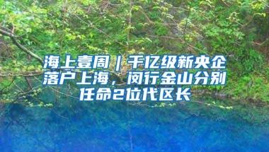 海上壹周︱千亿级新央企落户上海，闵行金山分别任命2位代区长