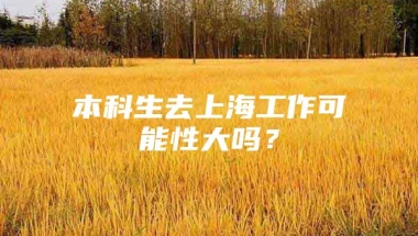 本科生去上海工作可能性大吗？