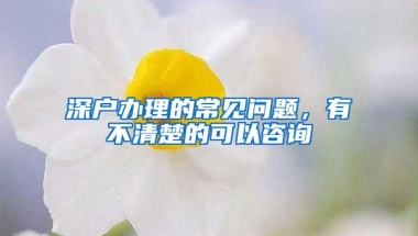 深户办理的常见问题，有不清楚的可以咨询