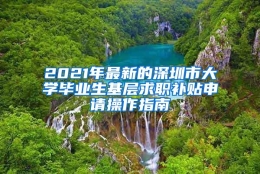 2021年最新的深圳市大学毕业生基层求职补贴申请操作指南