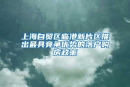 上海自贸区临港新片区推出最具竞争优势的落户购房政策