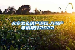 大专怎么落户深圳,入深户申请条件2022