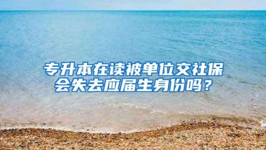 专升本在读被单位交社保会失去应届生身份吗？