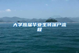 大学应届毕业生转深户流程