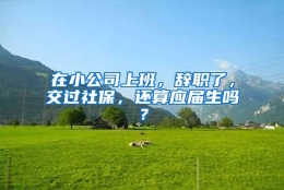 在小公司上班，辞职了，交过社保，还算应届生吗？