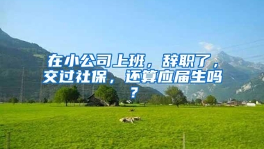 在小公司上班，辞职了，交过社保，还算应届生吗？