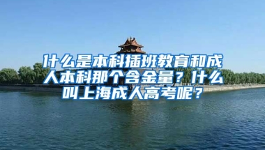 什么是本科插班教育和成人本科那个含金量？什么叫上海成人高考呢？