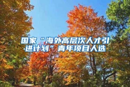 国家“海外高层次人才引进计划”青年项目人选