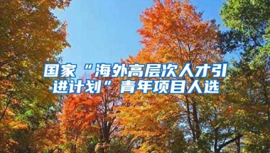 国家“海外高层次人才引进计划”青年项目人选