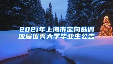 2021年上海市定向选调应届优秀大学毕业生公告