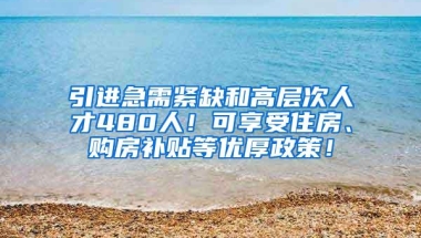 引进急需紧缺和高层次人才480人！可享受住房、购房补贴等优厚政策！