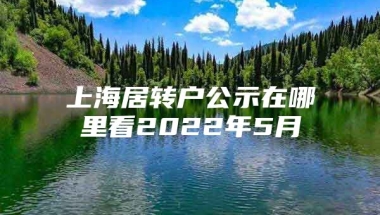 上海居转户公示在哪里看2022年5月