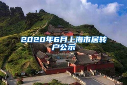 2020年6月上海市居转户公示