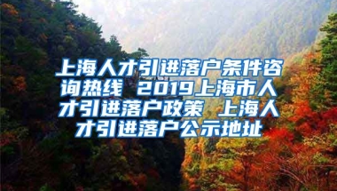 上海人才引进落户条件咨询热线 2019上海市人才引进落户政策 上海人才引进落户公示地址