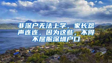 非深户无法上学，家长怨声连连，因为这些，不得不屈服深圳户口