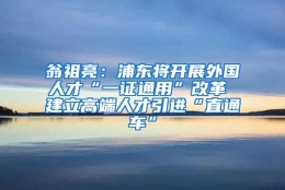 翁祖亮：浦东将开展外国人才“一证通用”改革 建立高端人才引进“直通车”