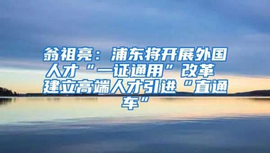 翁祖亮：浦东将开展外国人才“一证通用”改革 建立高端人才引进“直通车”