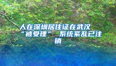 人在深圳居住证在武汉“被受理” 系统紊乱已注销