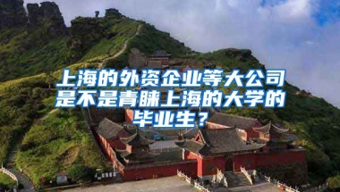 上海的外资企业等大公司是不是青睐上海的大学的毕业生？