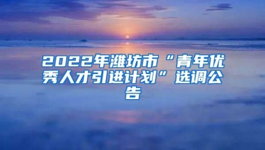 2022年潍坊市“青年优秀人才引进计划”选调公告